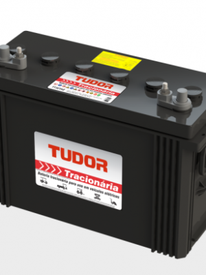 Lead-acid car battery with black case and red Tudor label, two top terminals, and side handles.